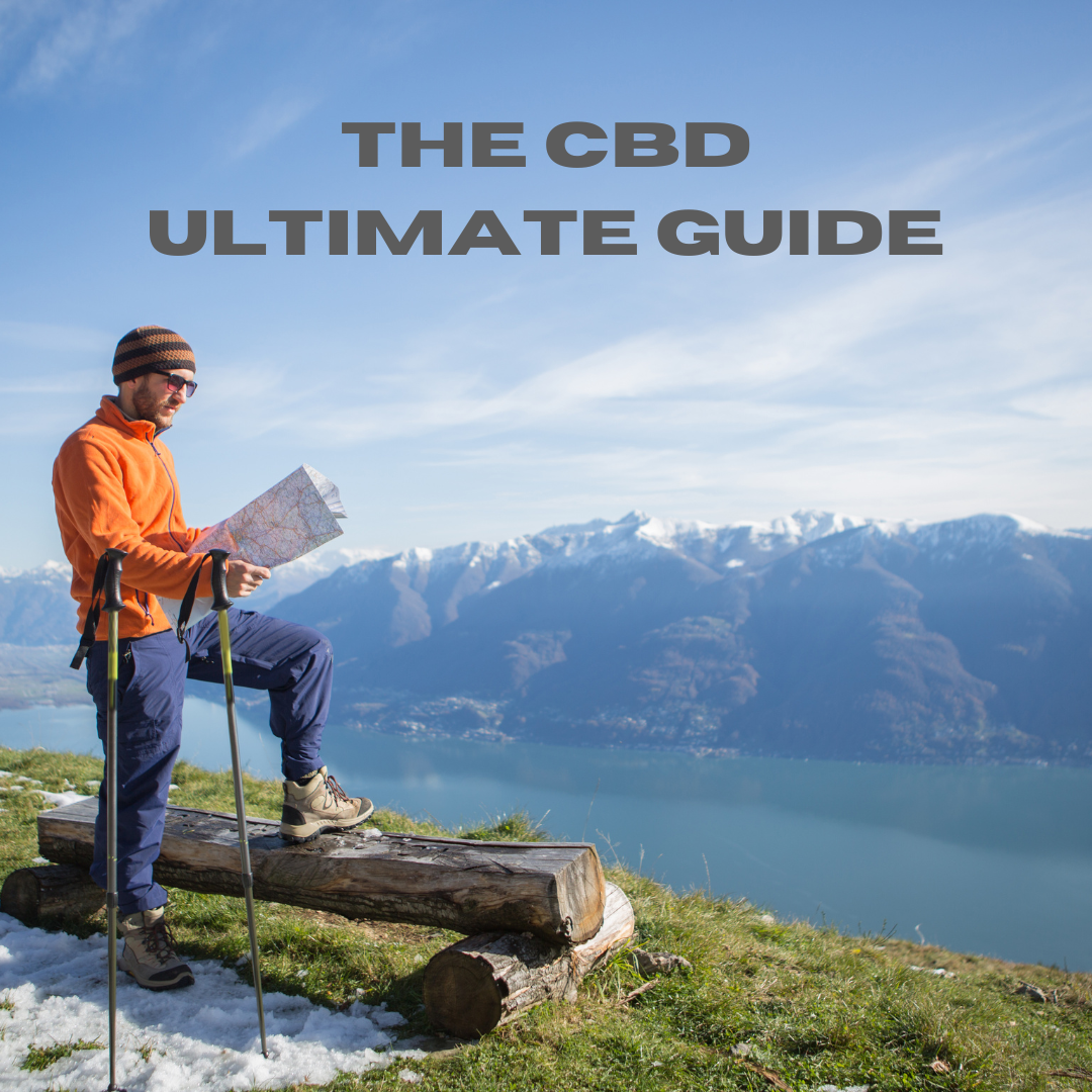 Featured image for “CBD Ultimate Guide”