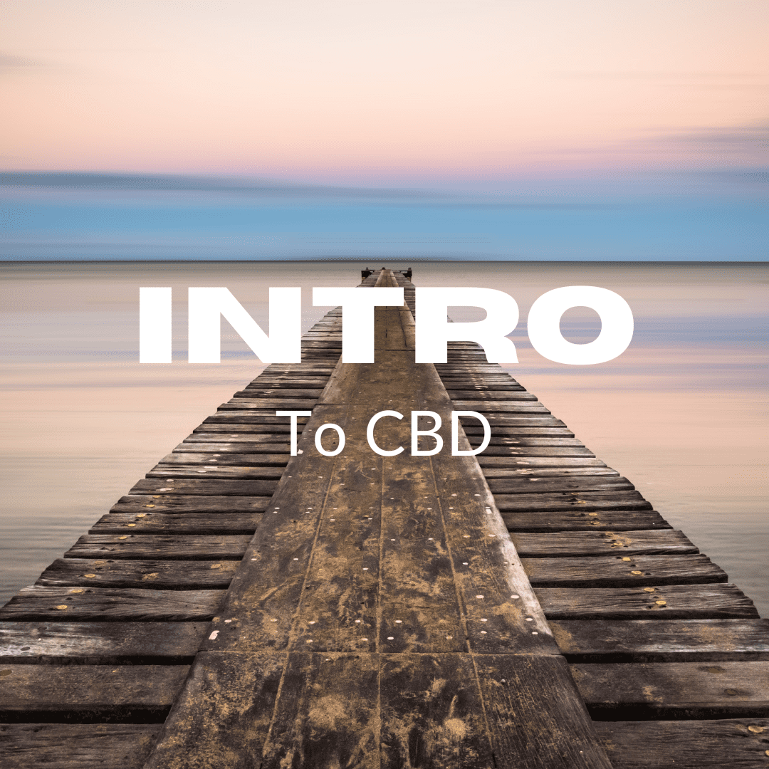 Featured image for “Intro to CBD”