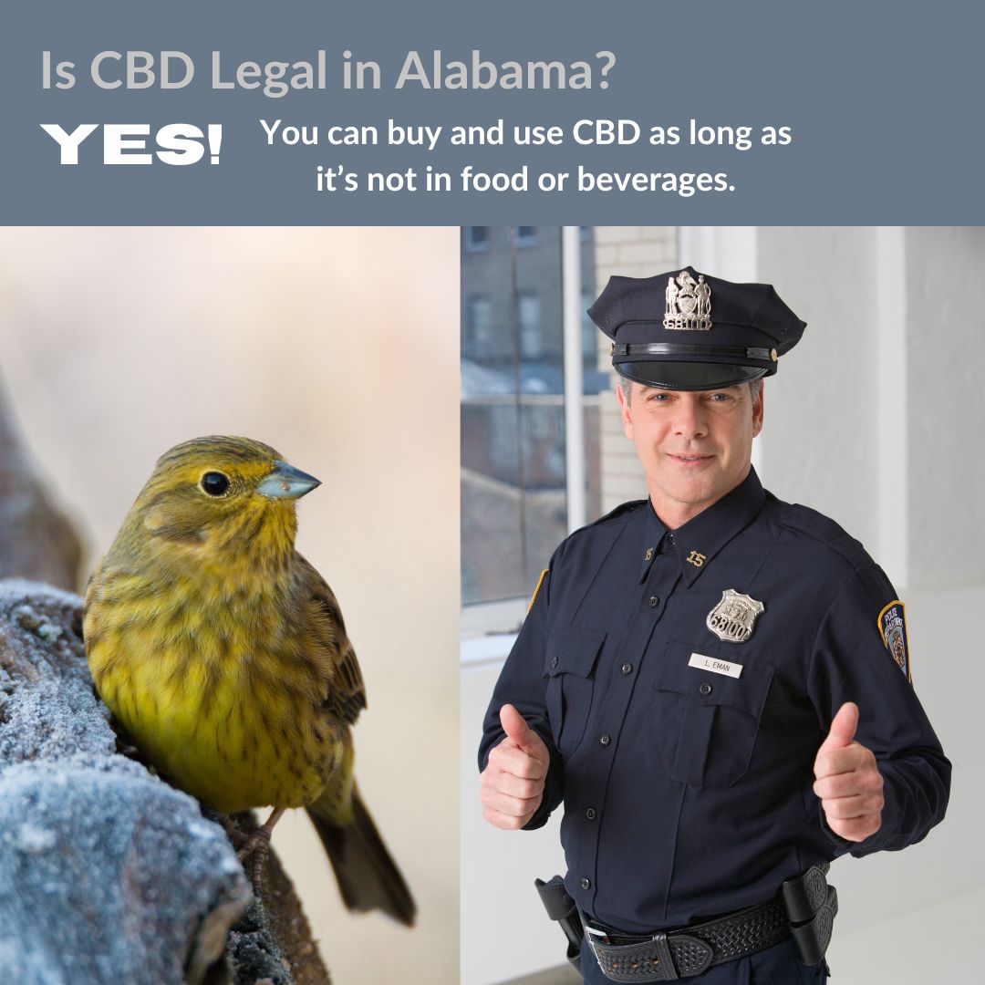 Is CBD Legal in Alabama?