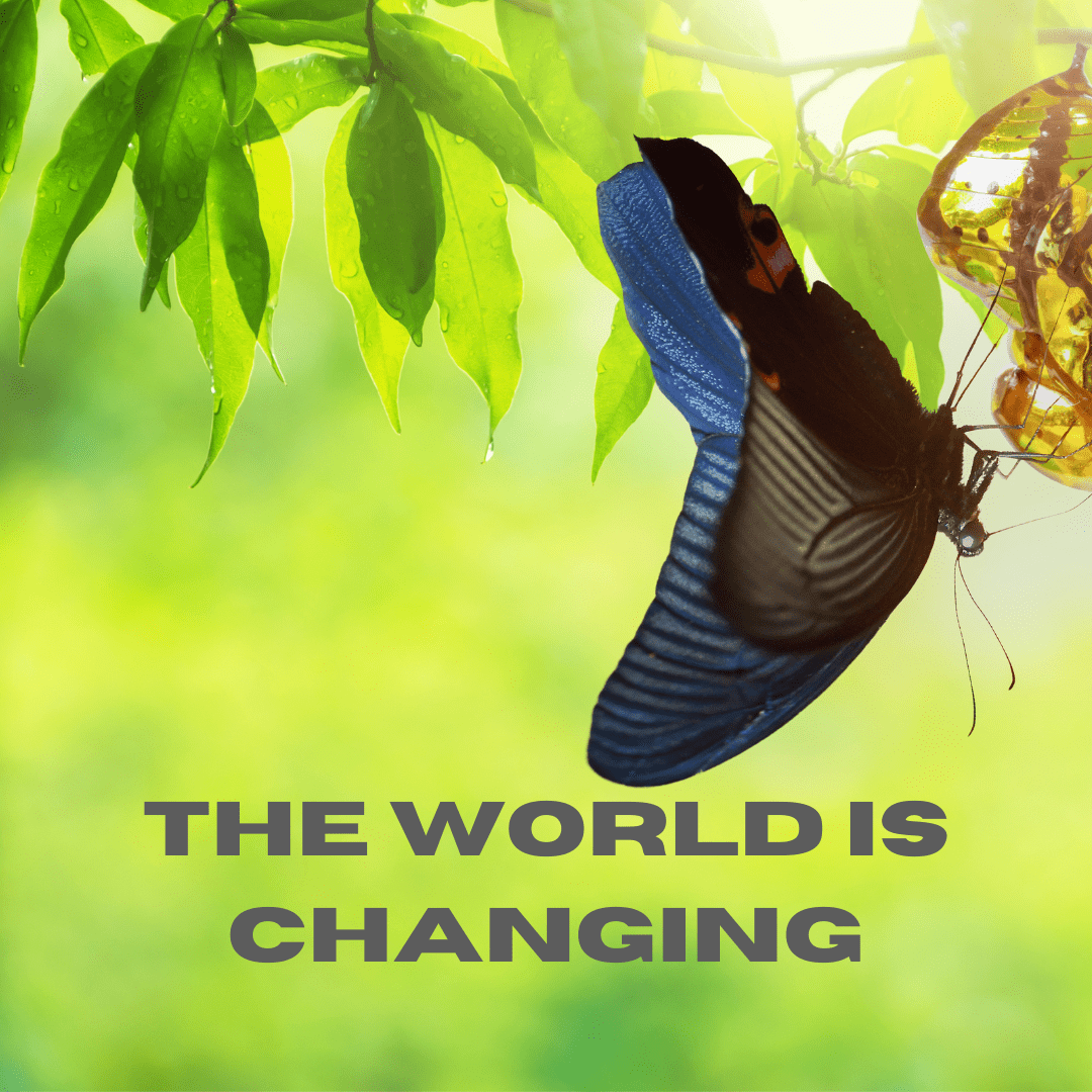 Featured image for “The world is changing”