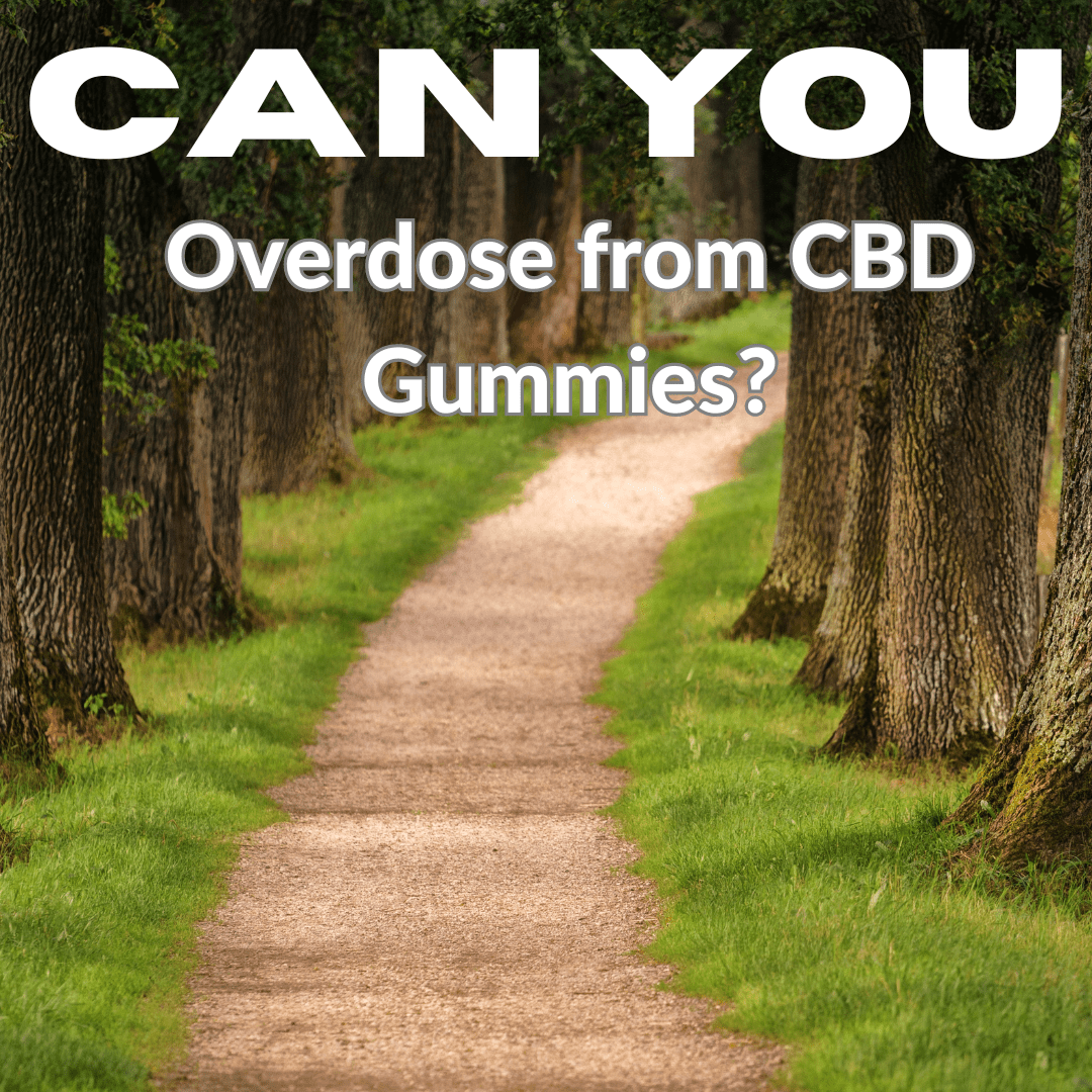 Featured image for “Can You Overdose on CBD Gummies? CBD Gummies Risks Explained”