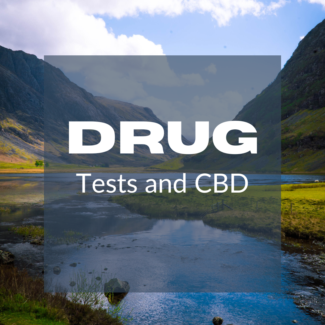 Featured image for “Can You Fail a Drug Test for Taking CBD”