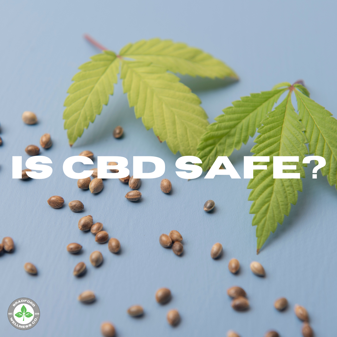 Featured image for “Is CBD Safe?”