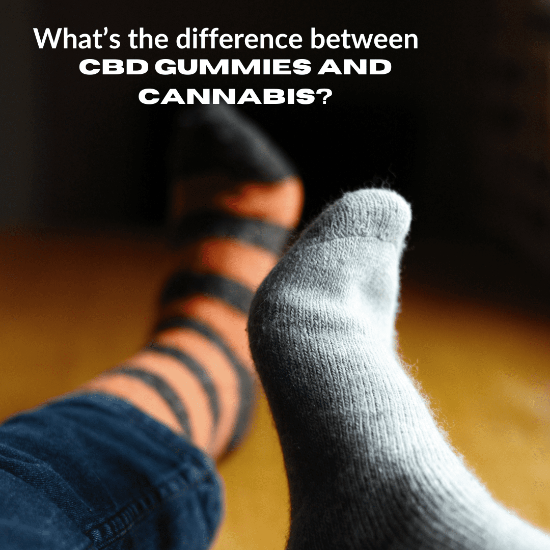 Featured image for “The Difference Between CBD Gummies And Cannabis”