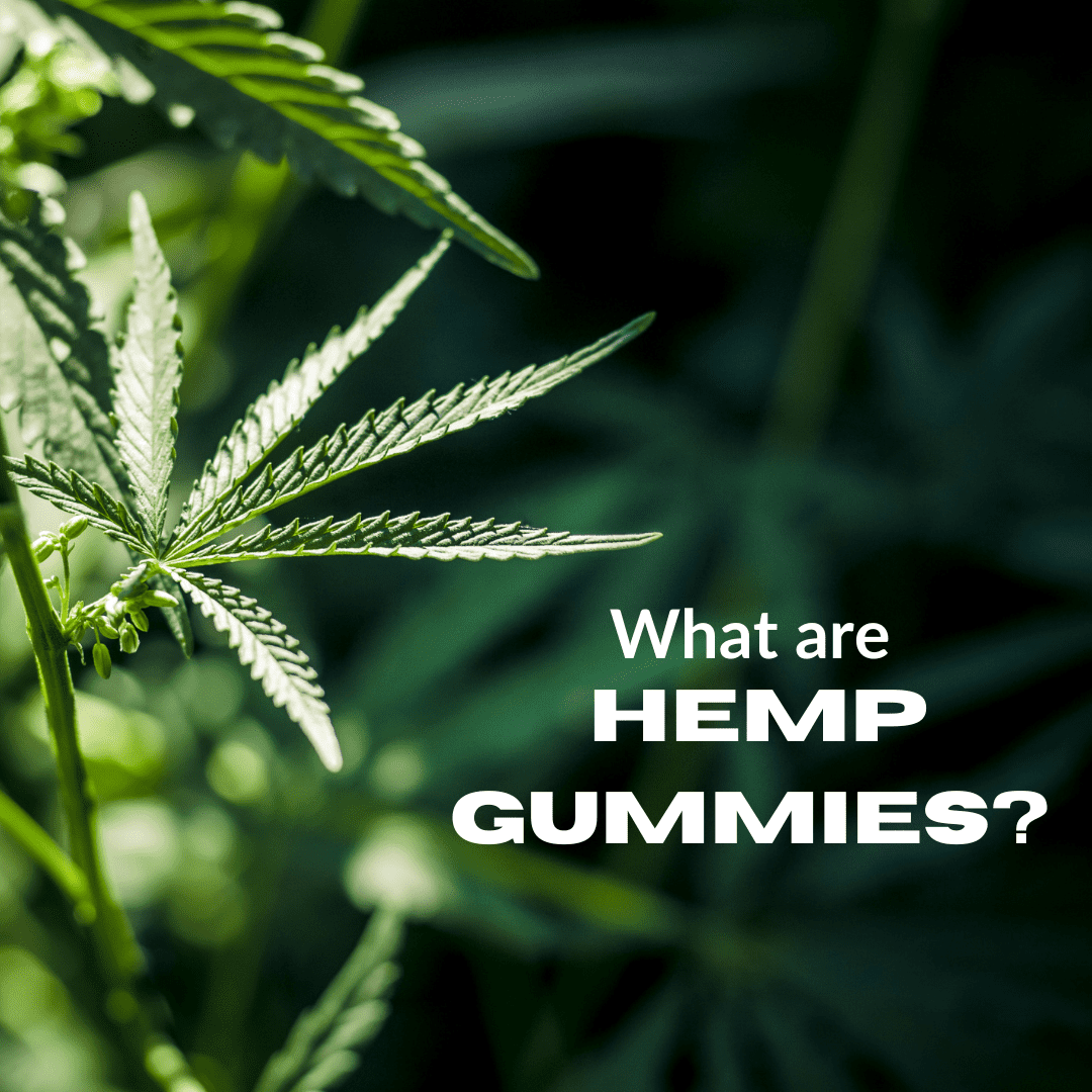 What are Hemp Gummies
