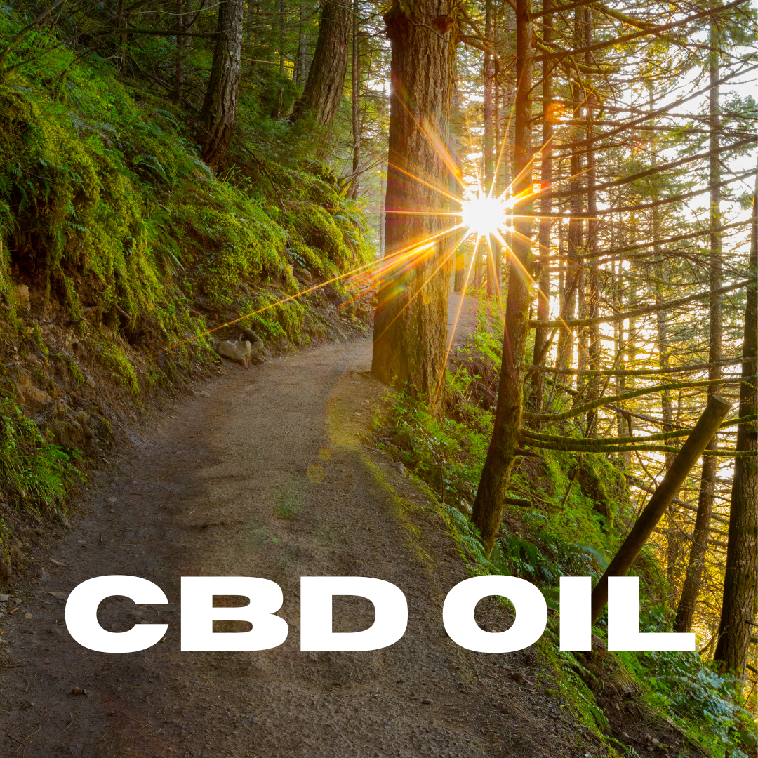 CBD Oil text overlayed over a hiking path with the sun breaking through the trees