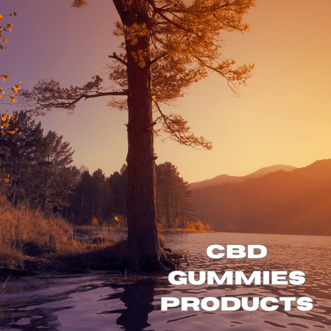 CBD Gummies Products