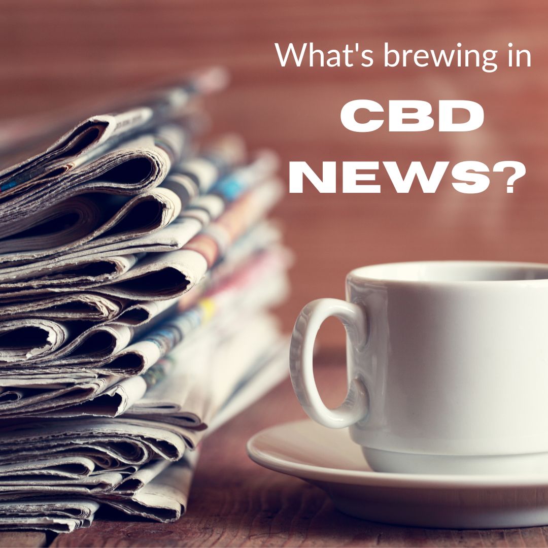 What's Brewing in CBD News?