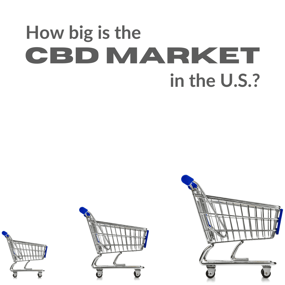 Featured image for “How Big is the CBD Market in the US?”