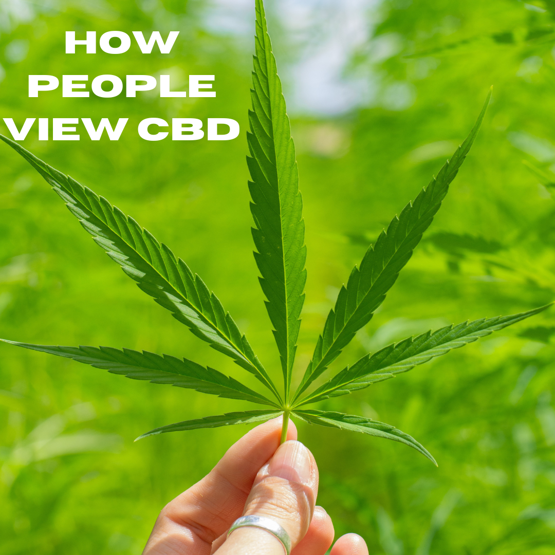 How People View CBD - a cannabis leaf
