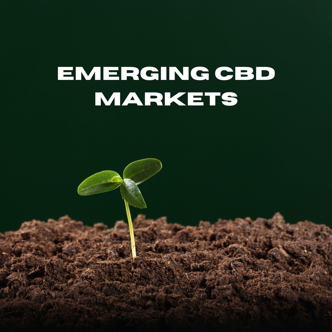 Emerging CBD Markets - a sapling sprouting