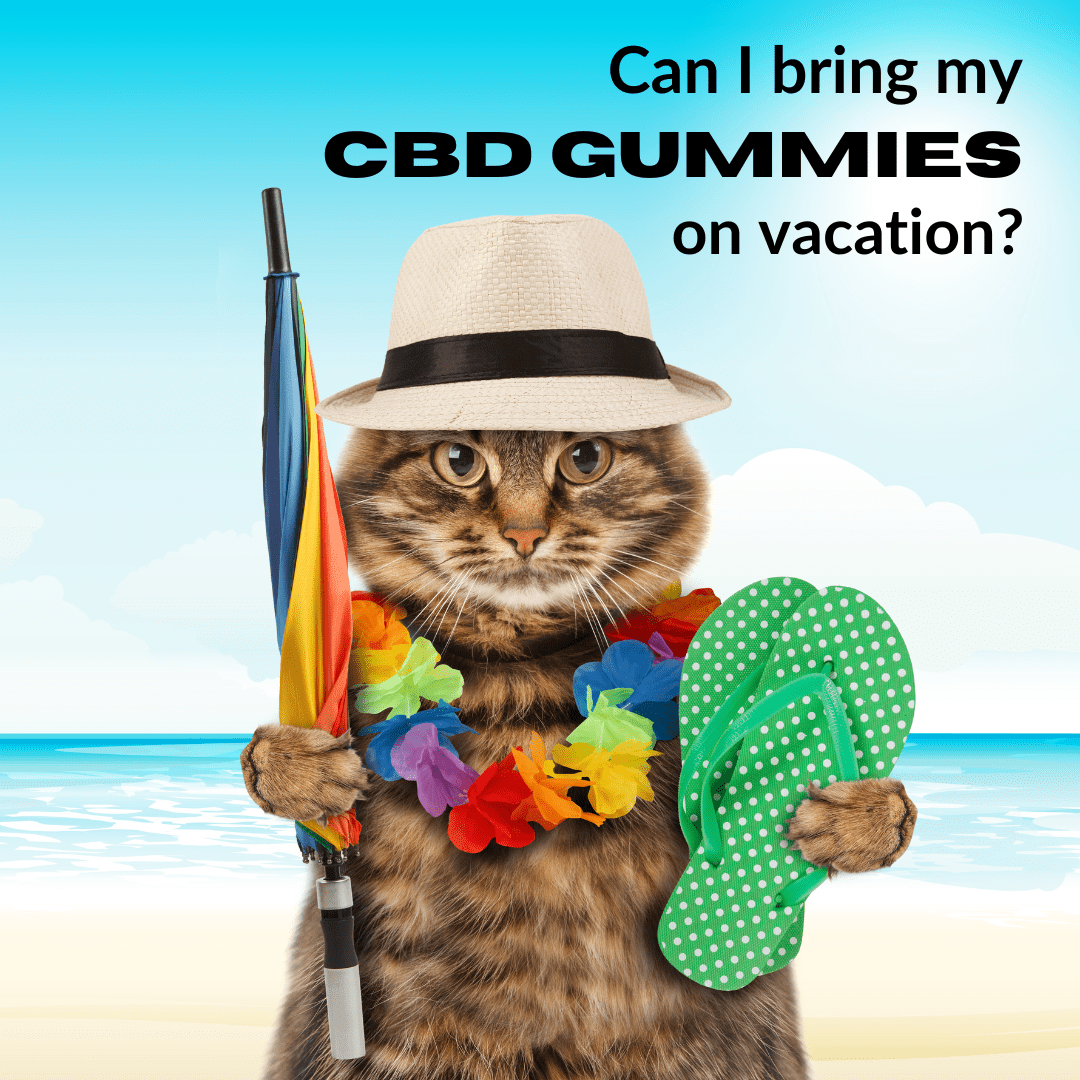 Can I take my CBD gummies on Vacation