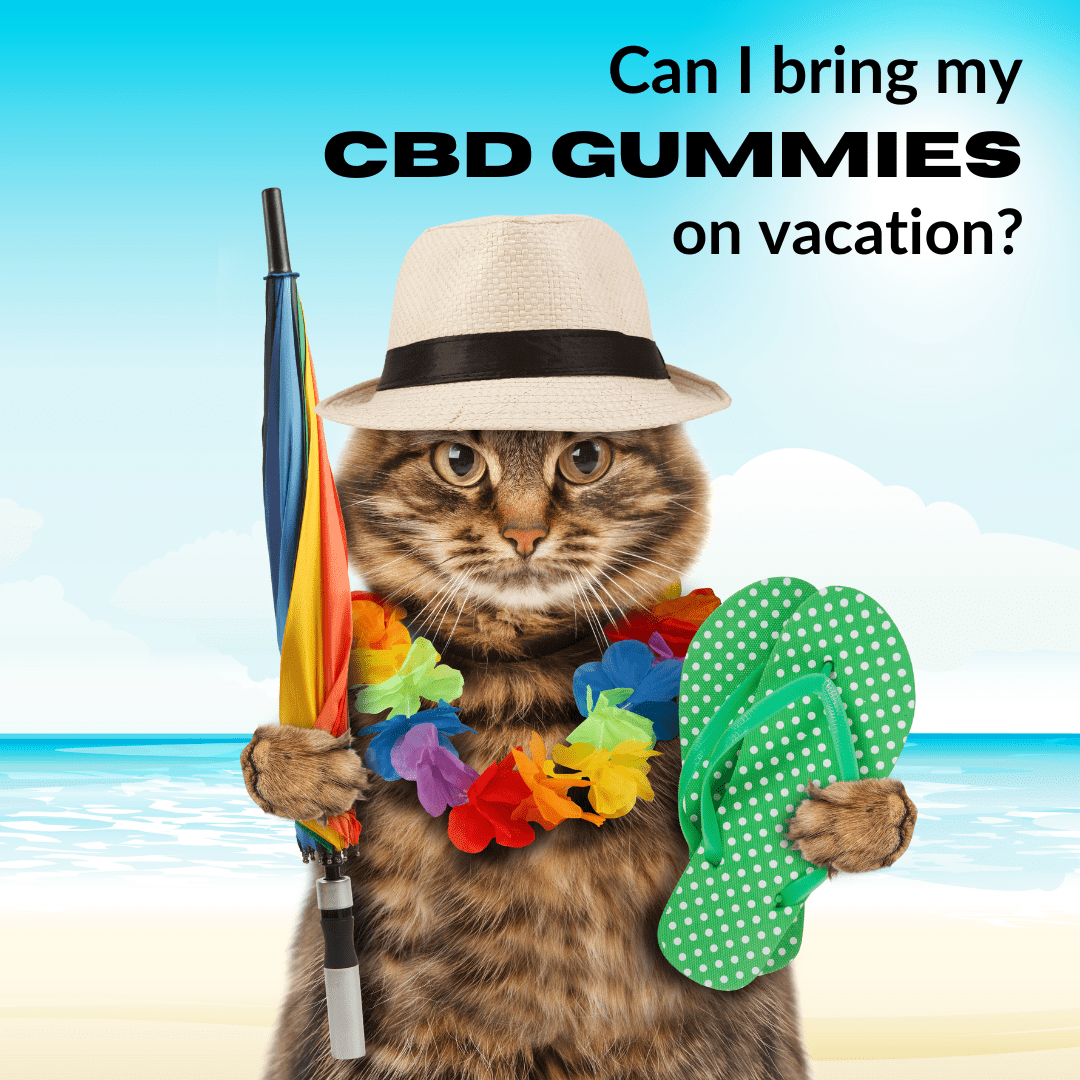 Featured image for “Can I take my CBD gummies on Vacation?”