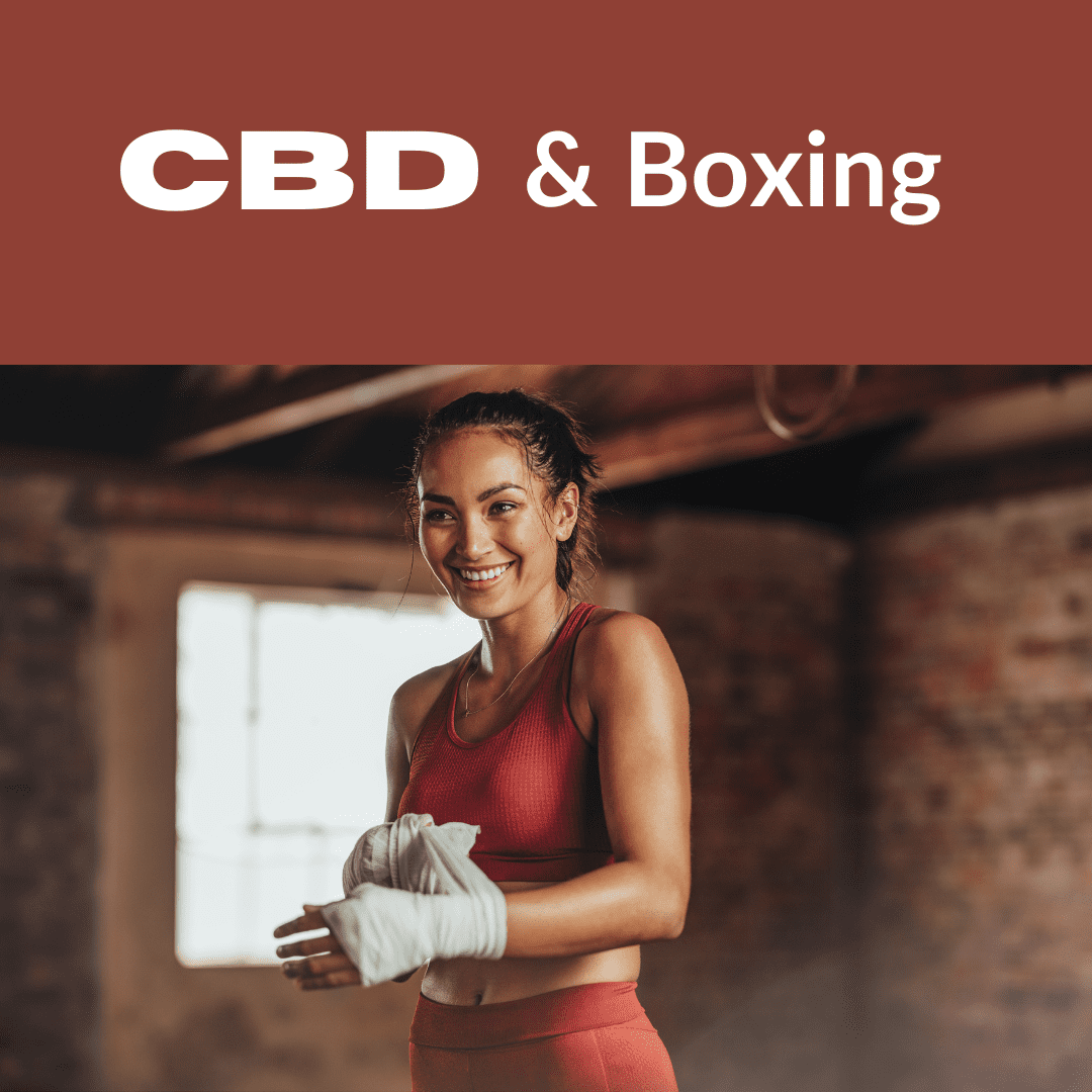 Featured image for “CBD & Boxing”