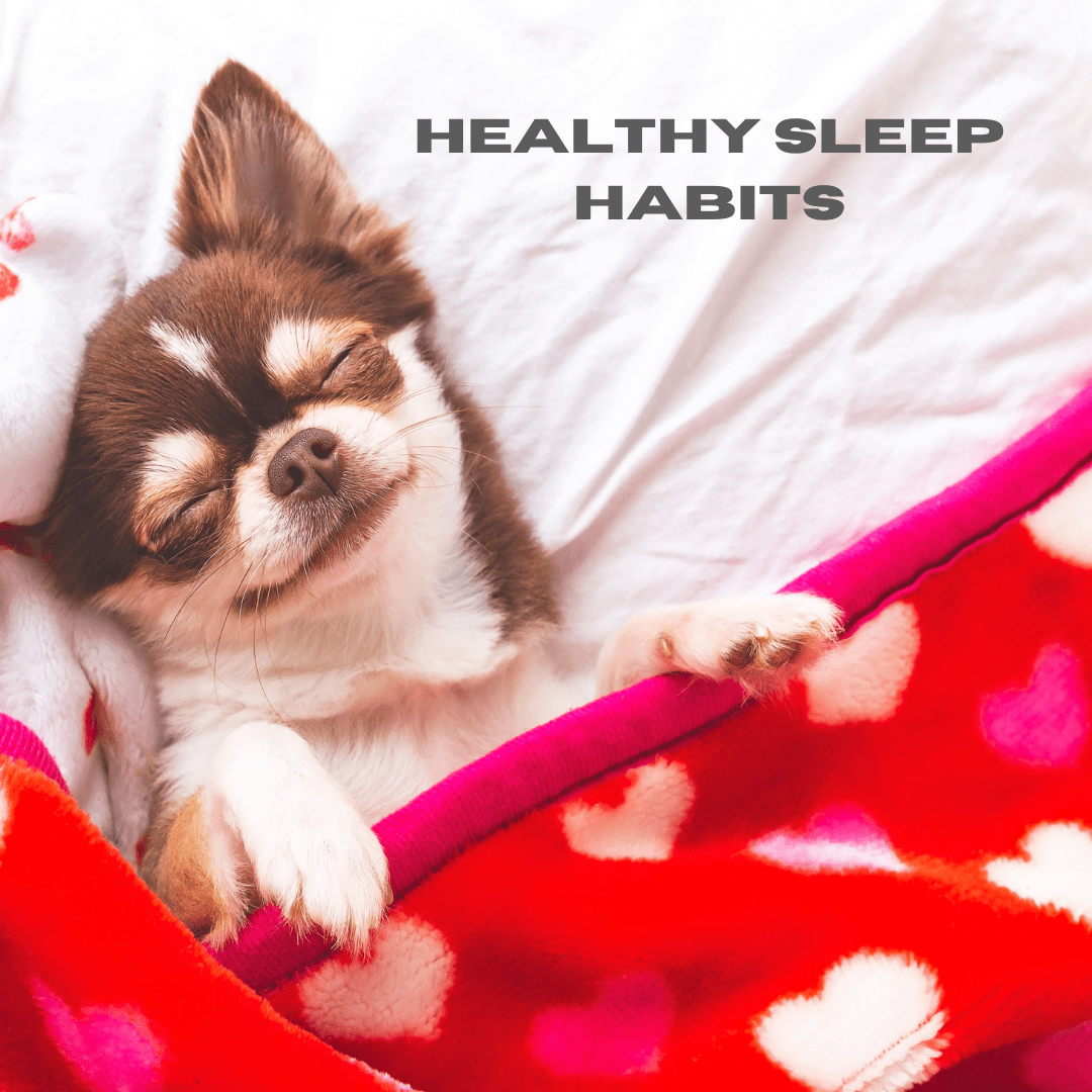 Featured image for “Healthy Sleep Habits”