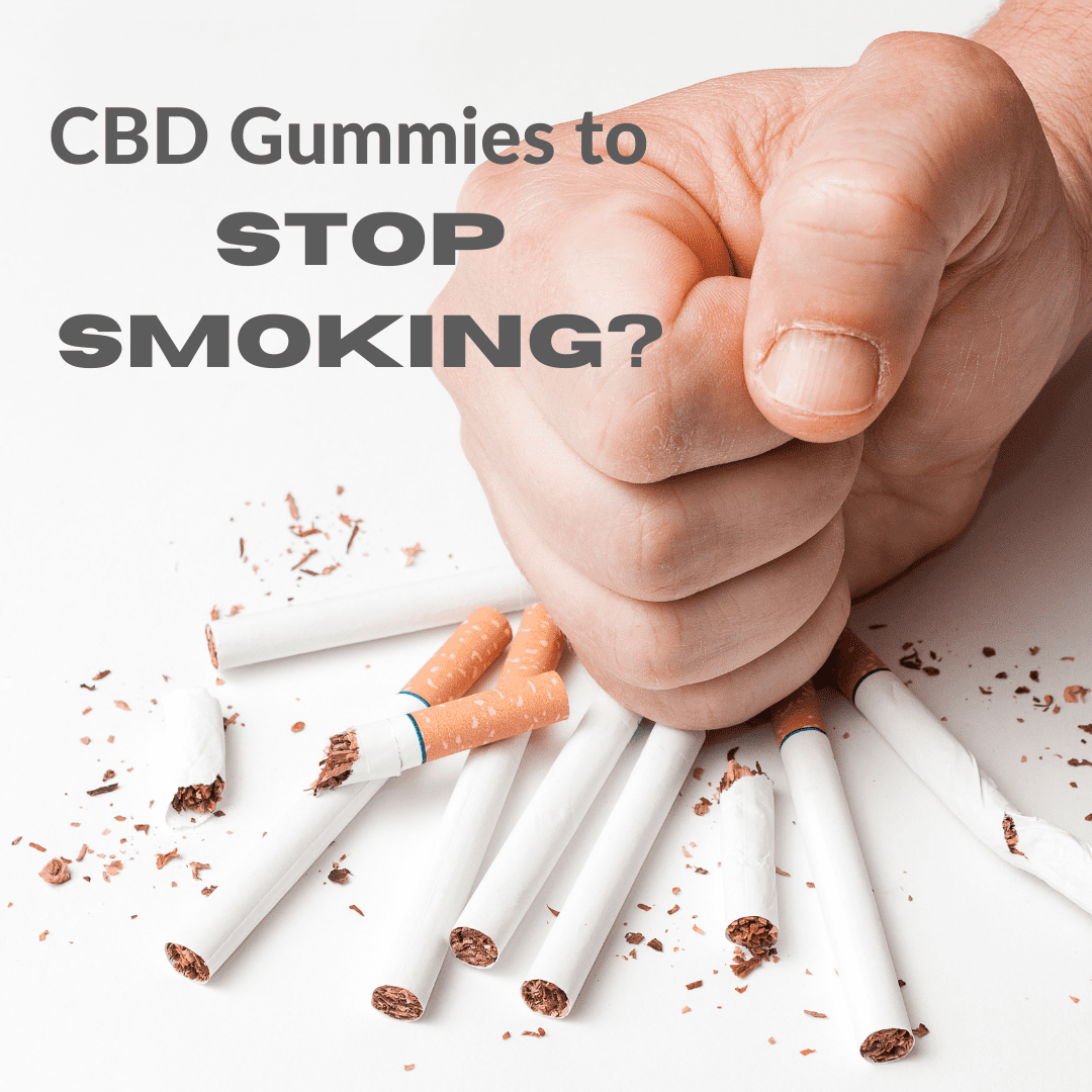 Featured image for “CBD Gummies to Stop Smoking”