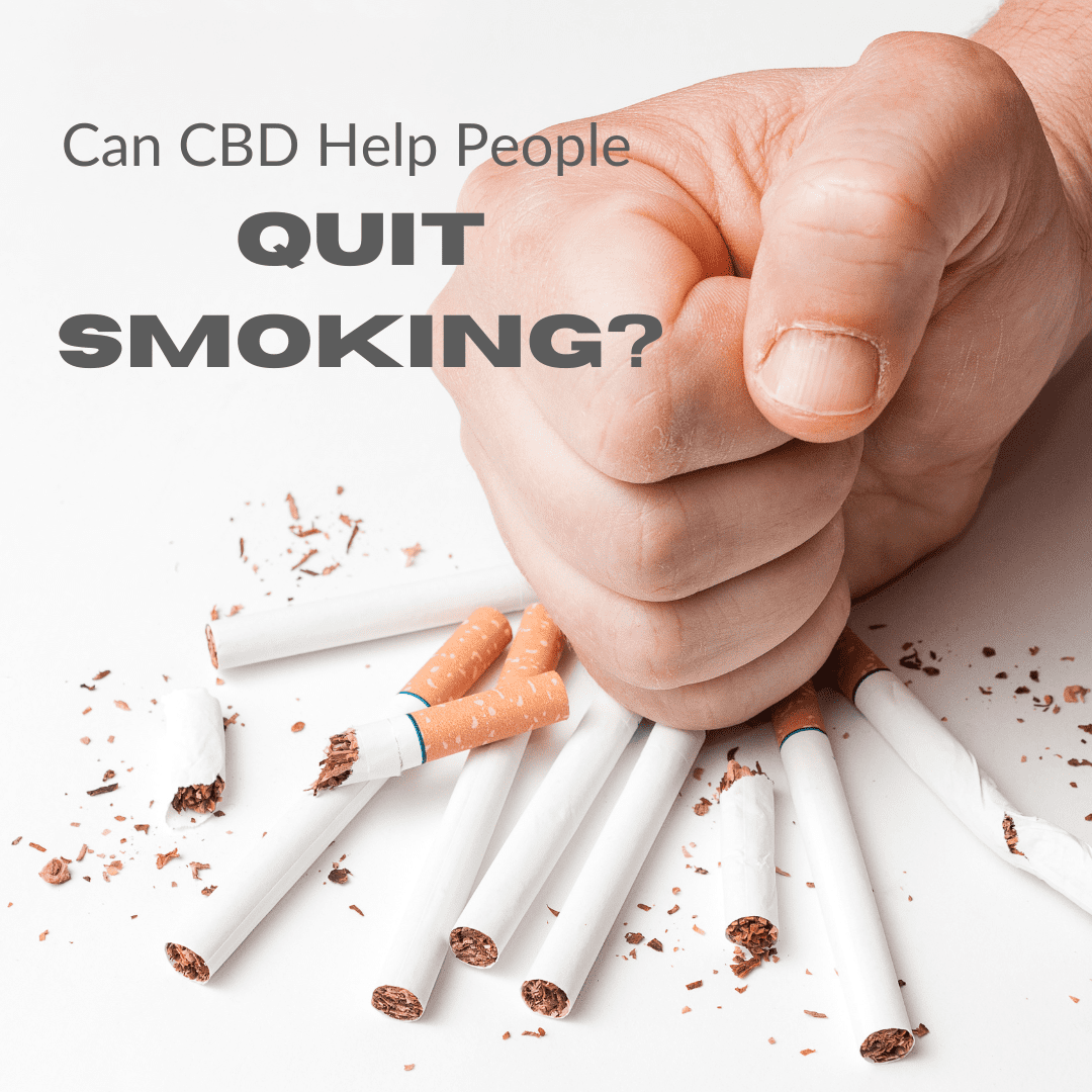 Featured image for “Can CBD Help People Stop Smoking?”