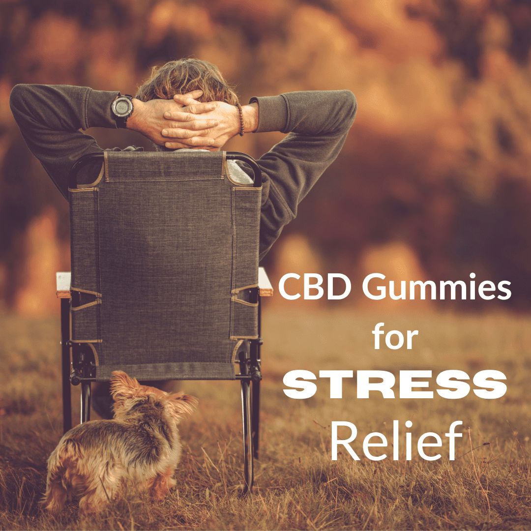 CBD Gummies for Stress Relief