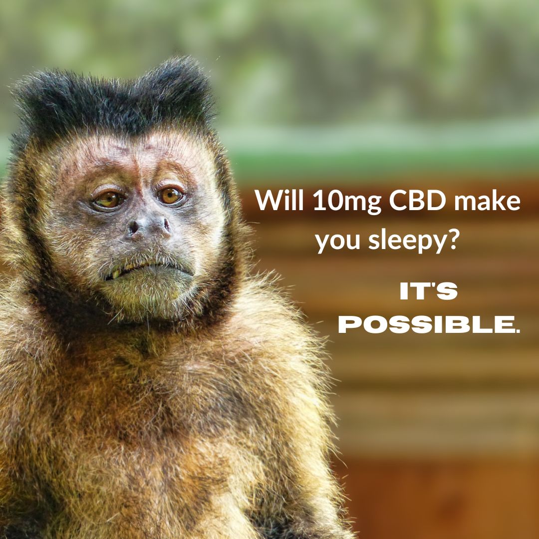 Will 10mg CBD make you sleepy?