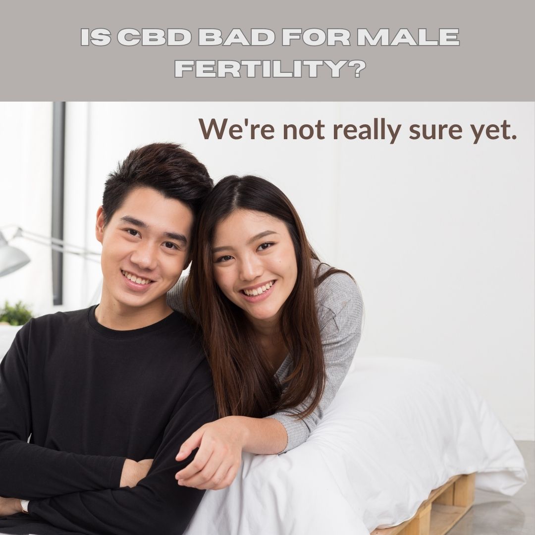 Is CBD bad for male fertility?