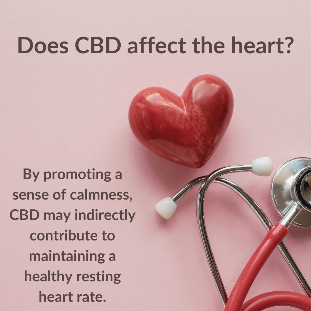 Featured image for “Does CBD affect the heart?”