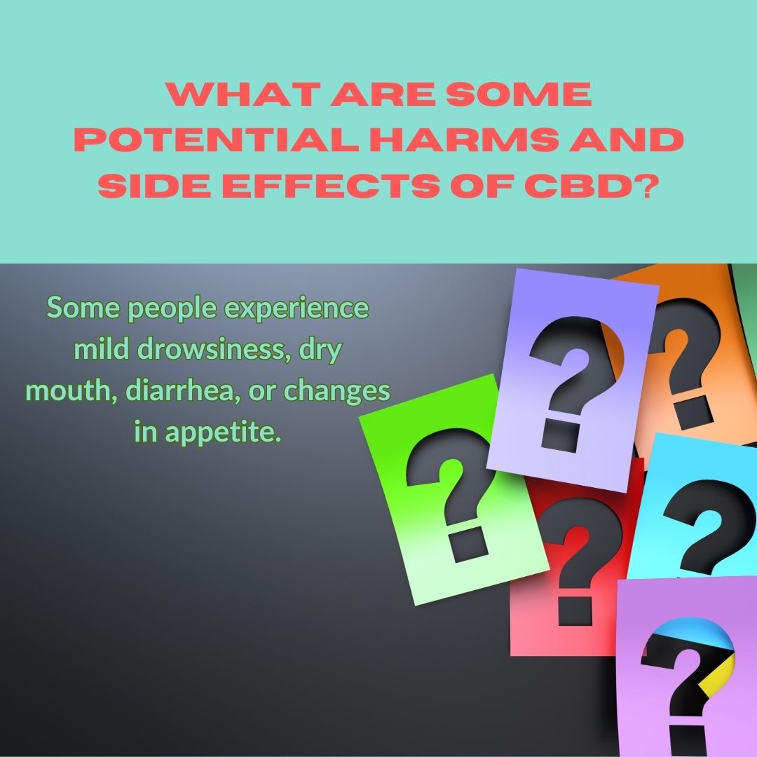 Featured image for “What are some potential harms and side effects of CBD?”
