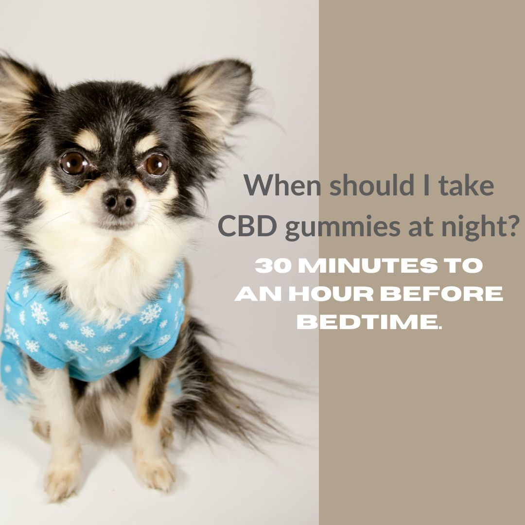 Featured image for “When should I take CBD gummies at night?”