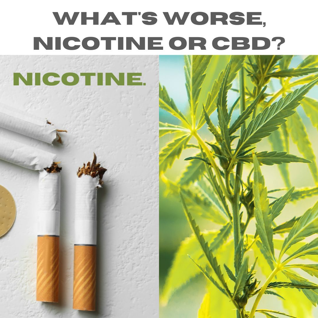What's worse nicotine or CBD?