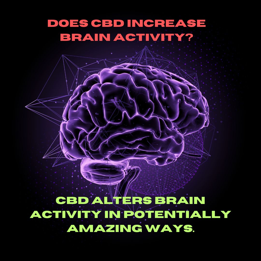 Featured image for “Does CBD increase brain activity?”