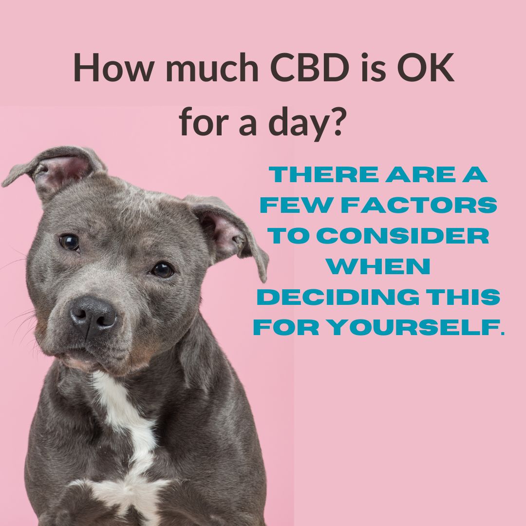 How much CBD is OK for a day?