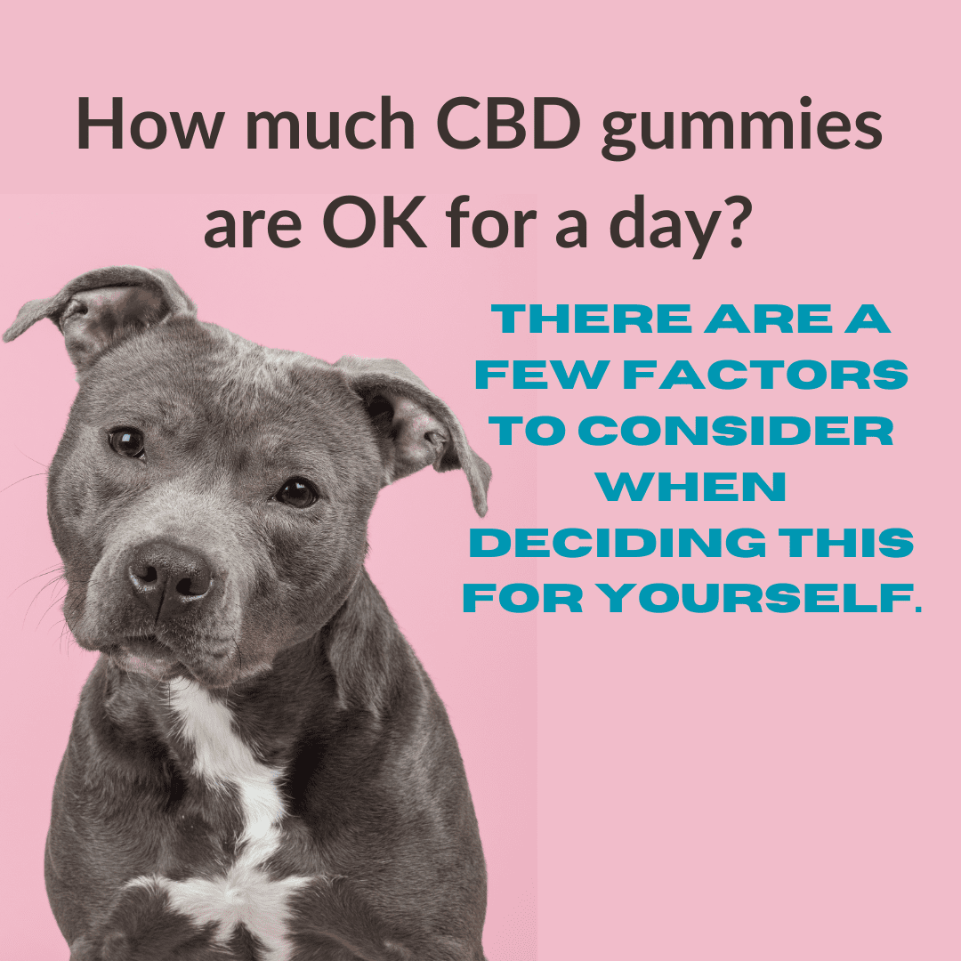 How much CBD gummies is OK for a day