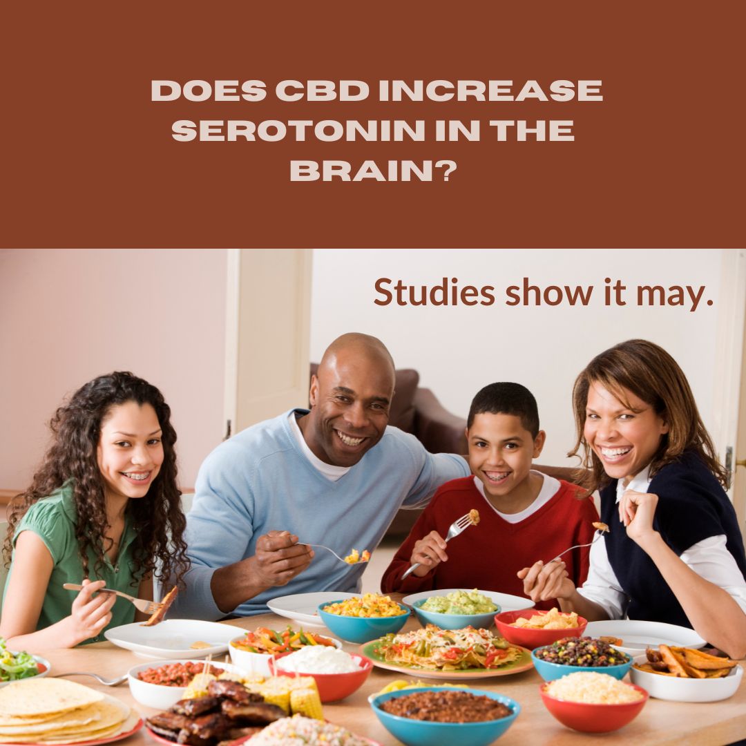 Does CBD increase serotonin in the brain?