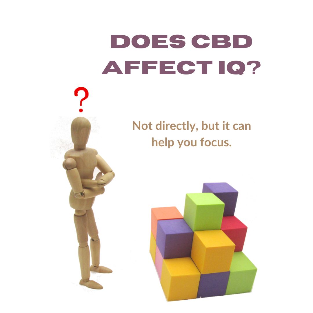 Featured image for “Does CBD affect IQ?”