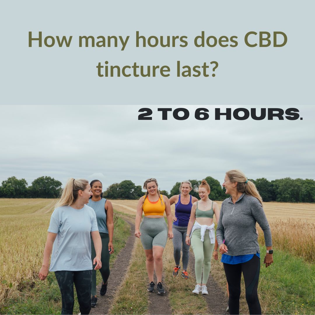 Featured image for “How many hours does CBD tincture last?”