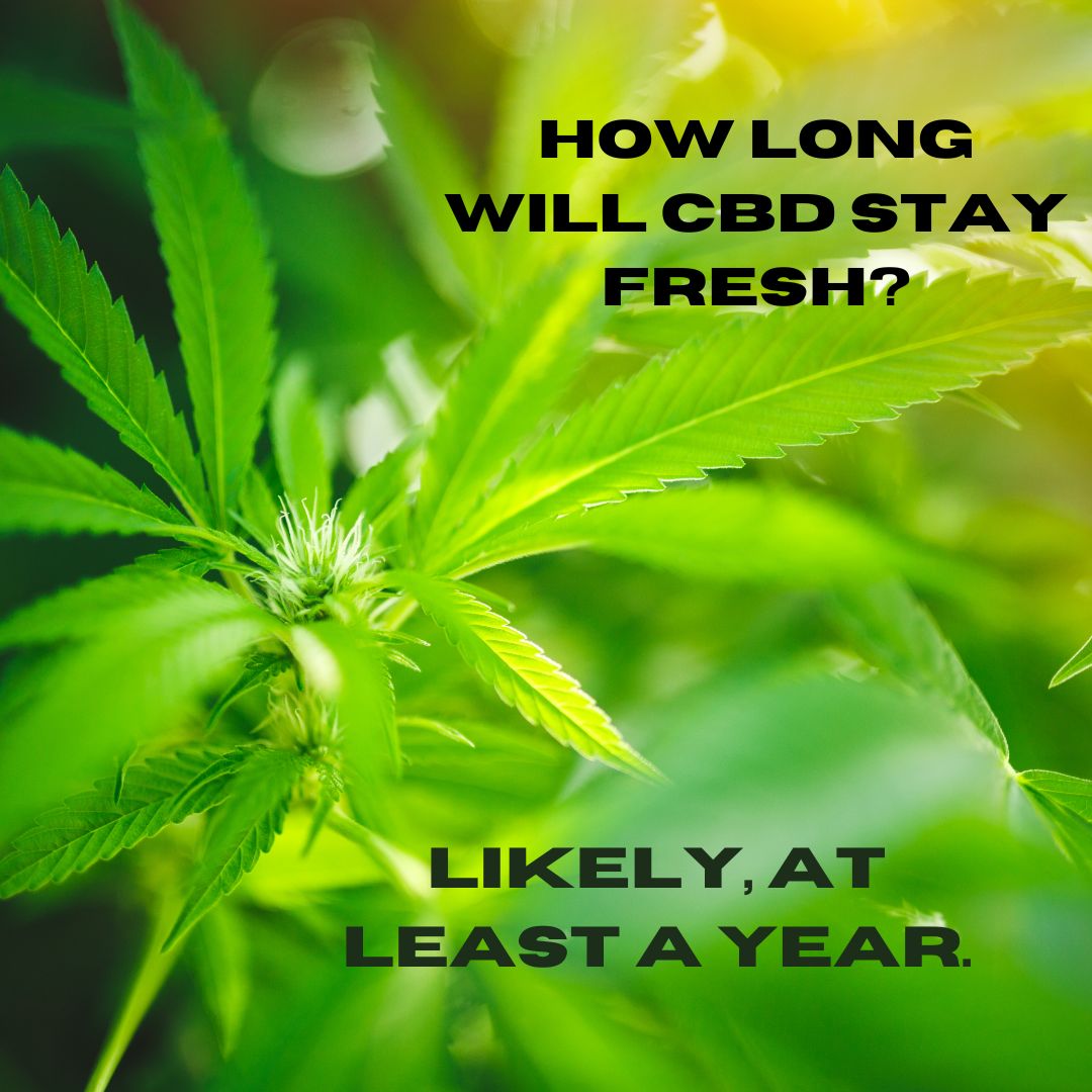 How long will CBD stay fresh?