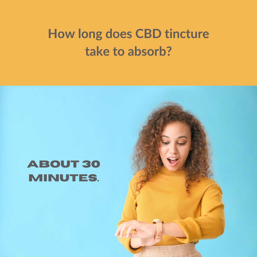 Featured image for “How long does CBD tincture take to absorb?”