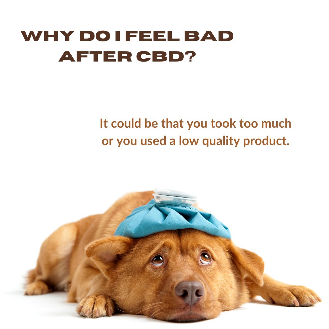 Why do I feel bad after CBD?