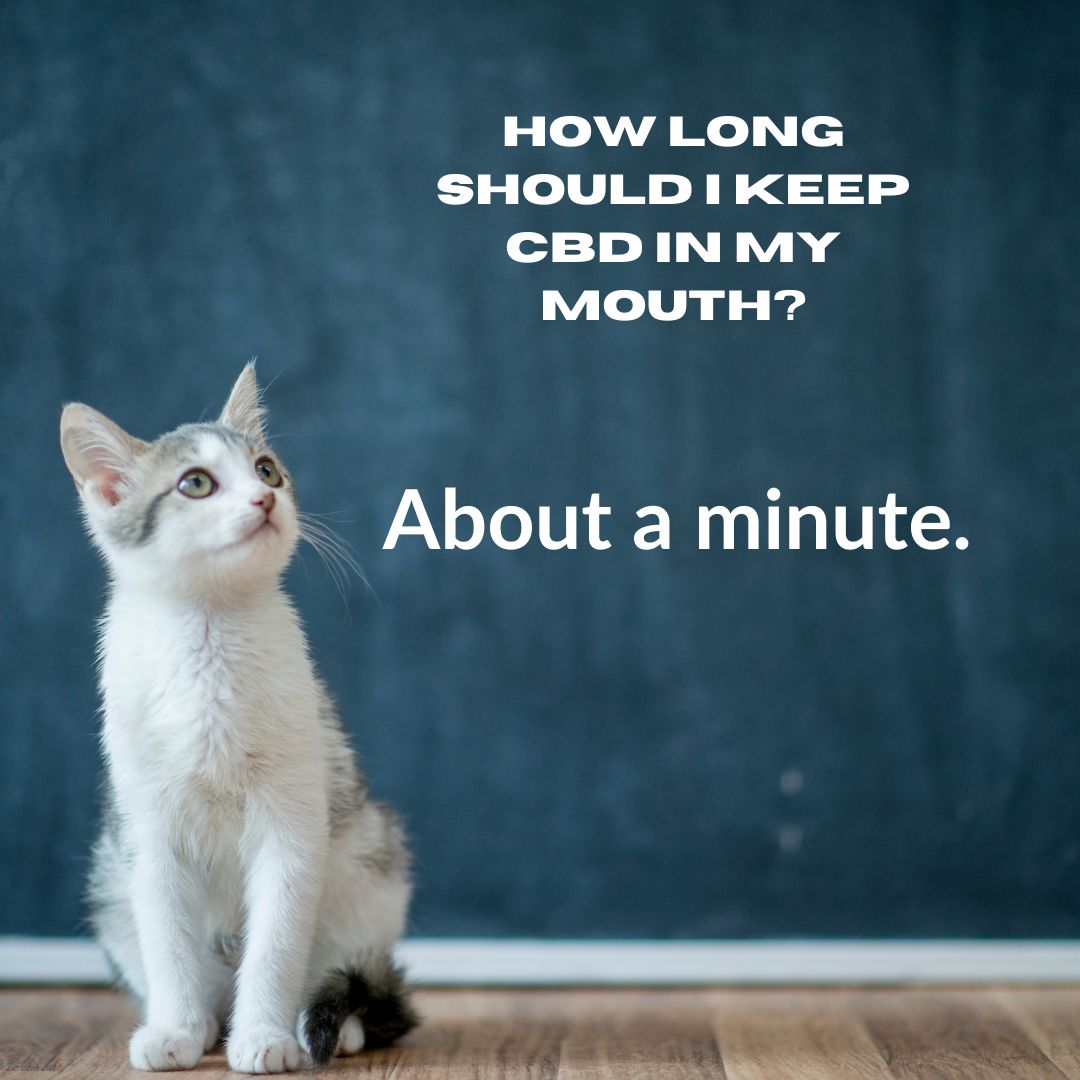 Featured image for “How long should I keep CBD in my mouth?”