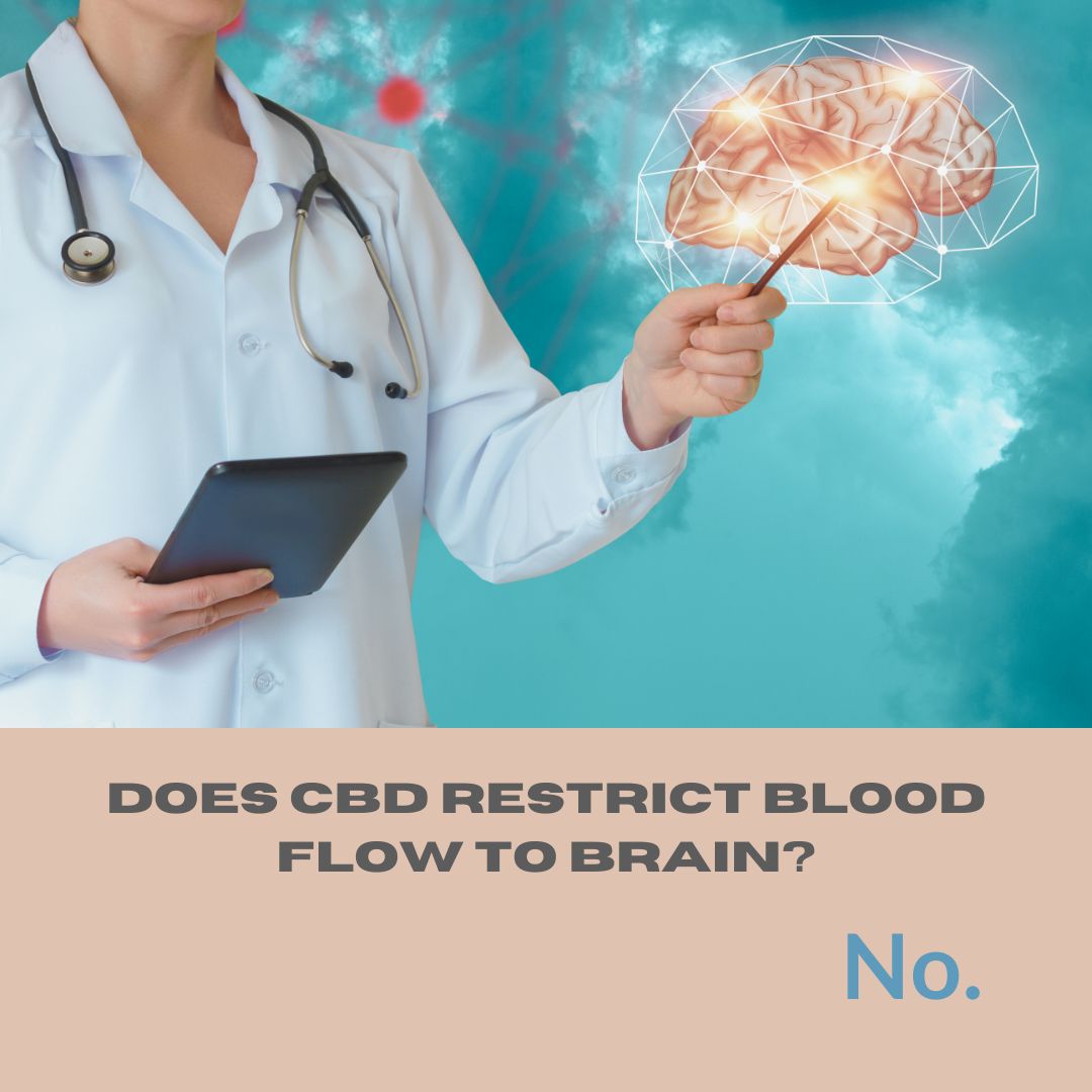 Featured image for “Does CBD restrict blood flow to brain?”