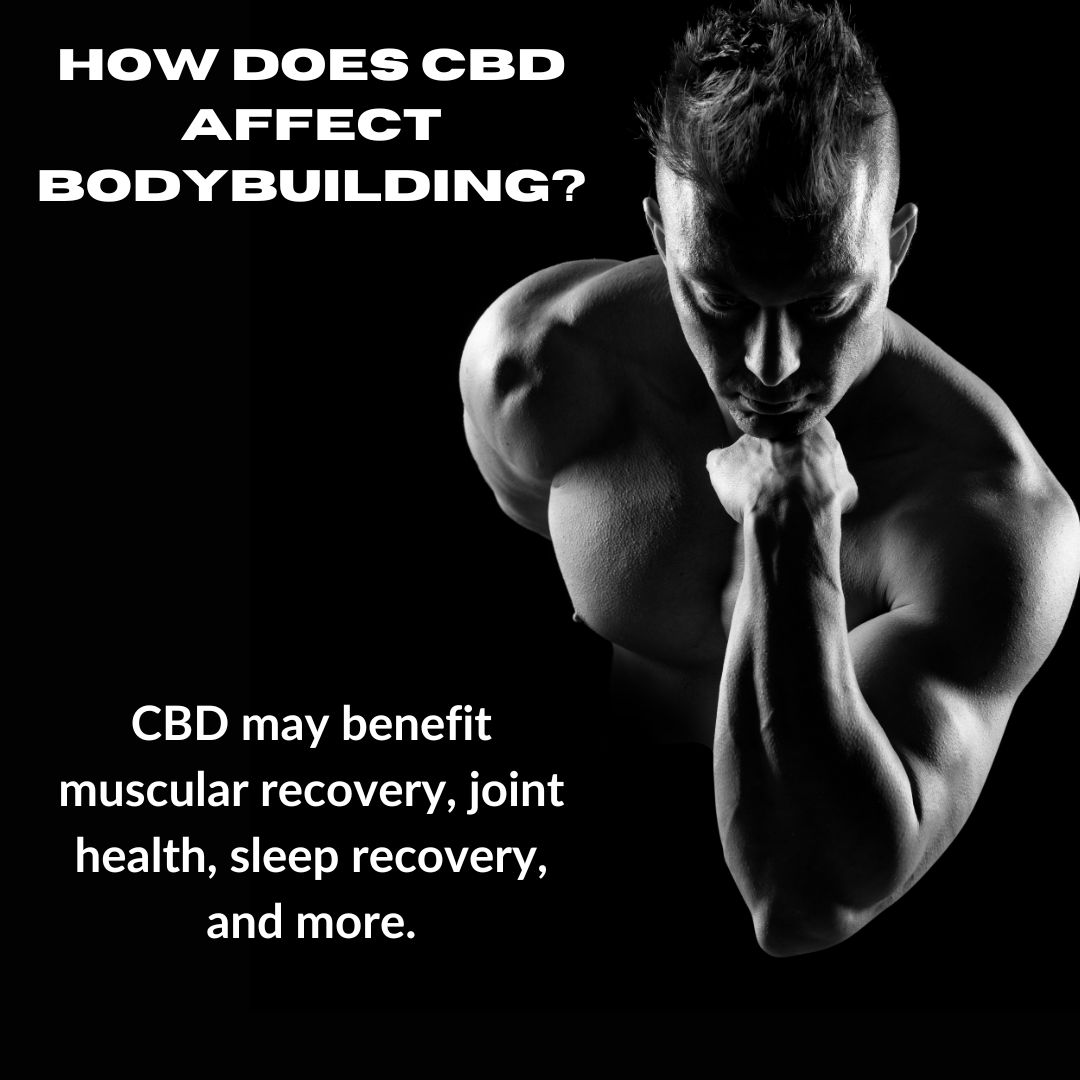Featured image for “How does CBD affect bodybuilding?”