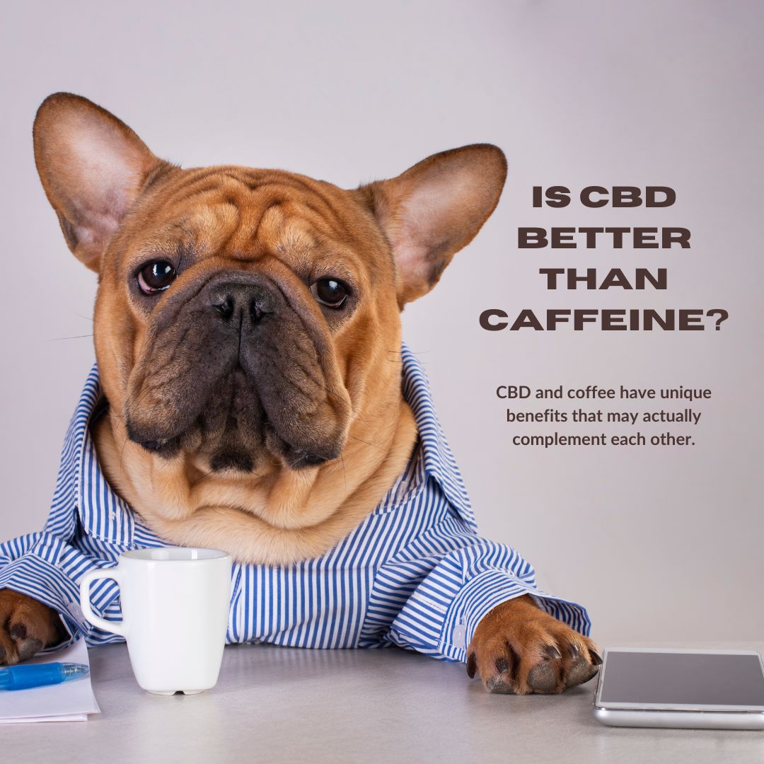 Is CBD better than caffeine?