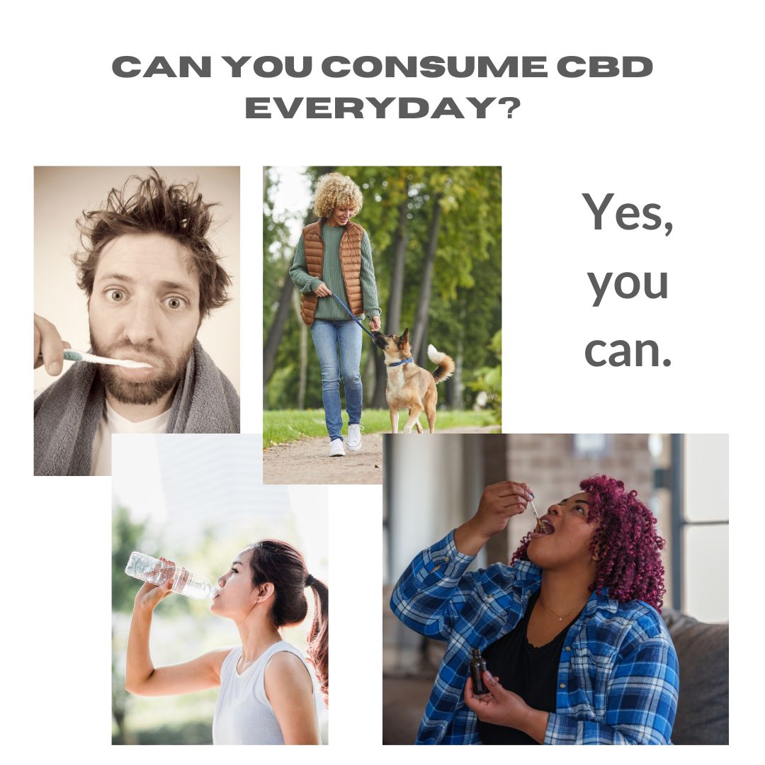 Can you consume CBD everyday?