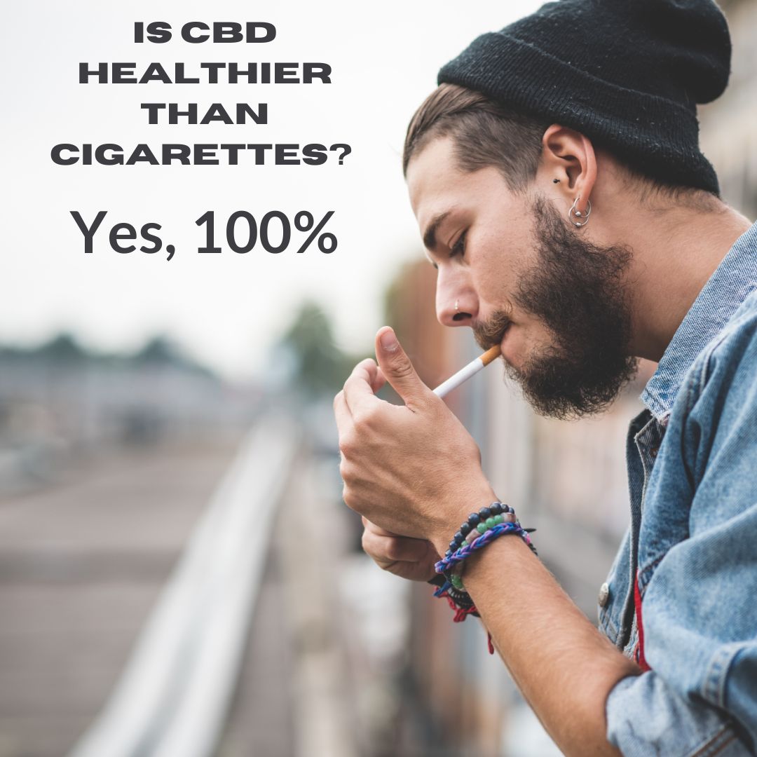 Featured image for “Is CBD healthier than cigarettes?”