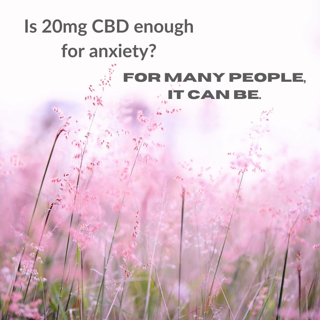 Featured image for “Is 20mg CBD enough for anxiety?”