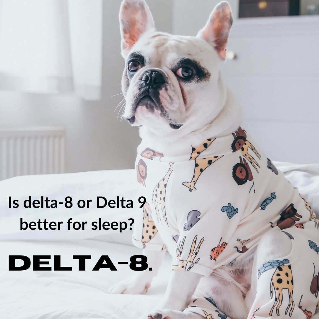 Featured image for “Is Delta-8 or Delta-9 better for sleep?”