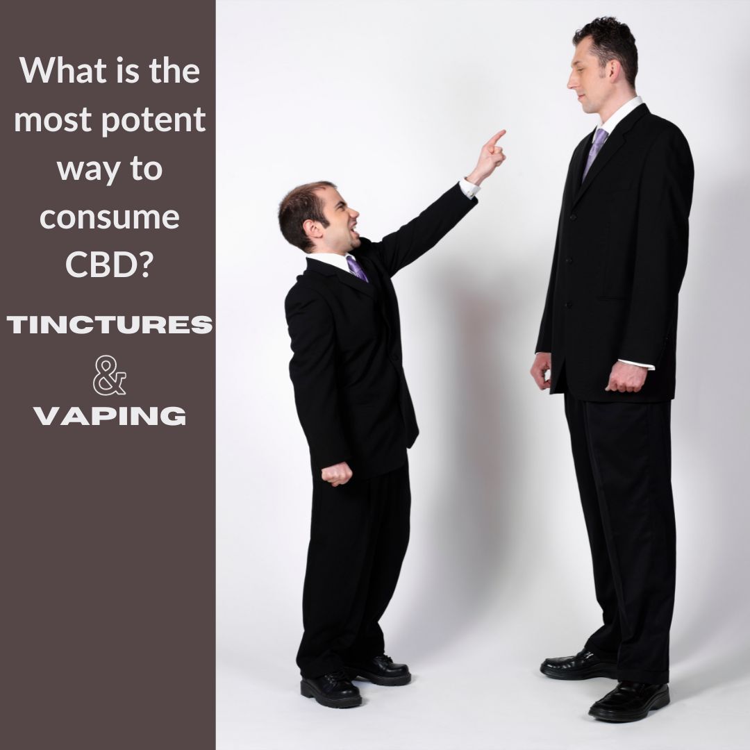 Featured image for “What is the Most Potent Way to Consume CBD?”