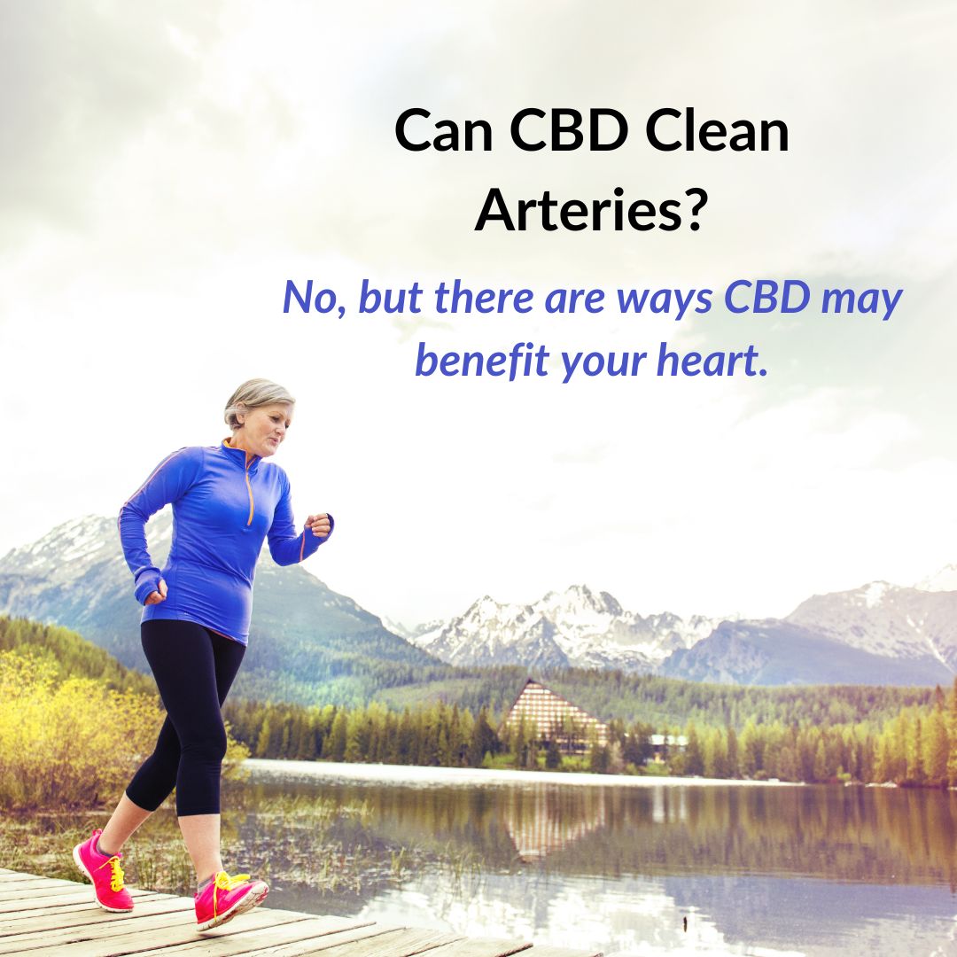 Can CBD Clean Arteries?