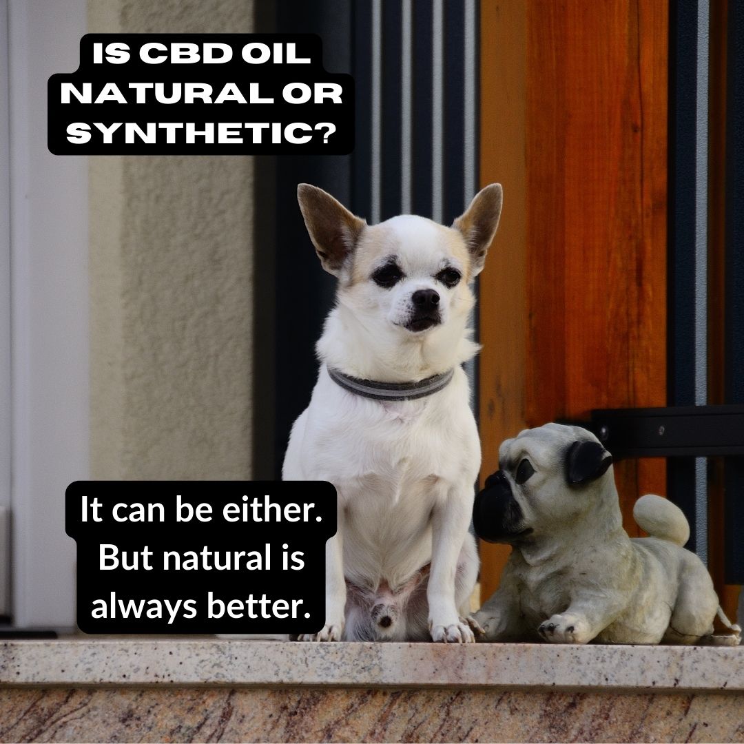 Is CBD oil Natural or Synthetic?