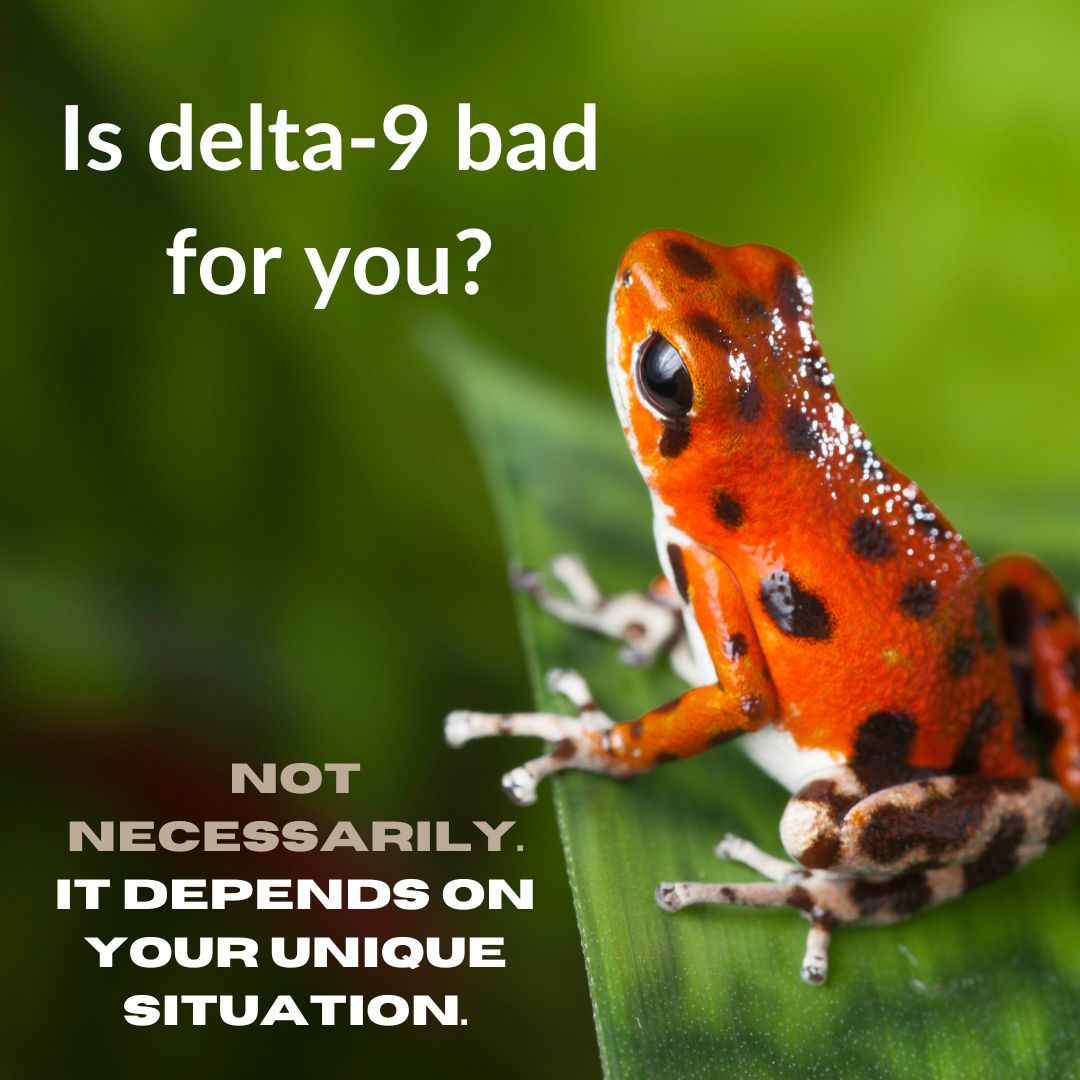 Featured image for “Is Delta-9 Bad for You?”