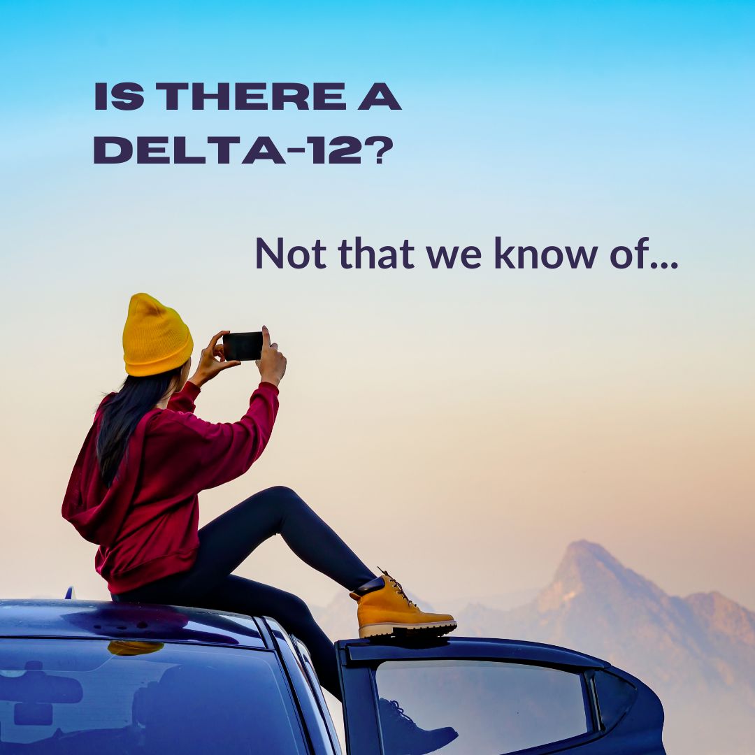 Featured image for “Is there a Delta 12?”